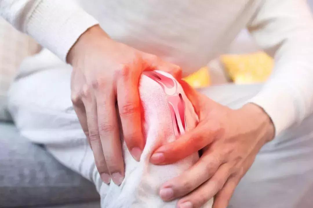 梅雨季病害,梅雨病最佳治疗方案