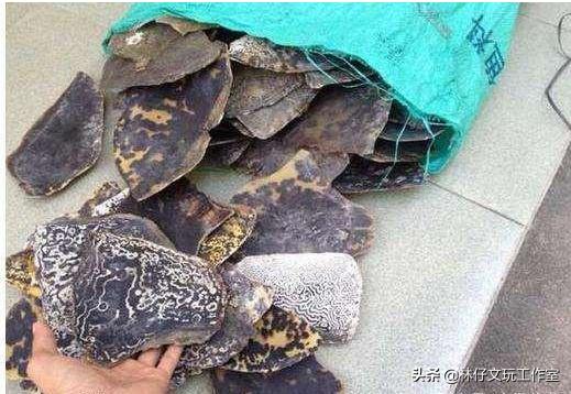 这三种文玩千万别碰,这几种文玩已经跌落神坛