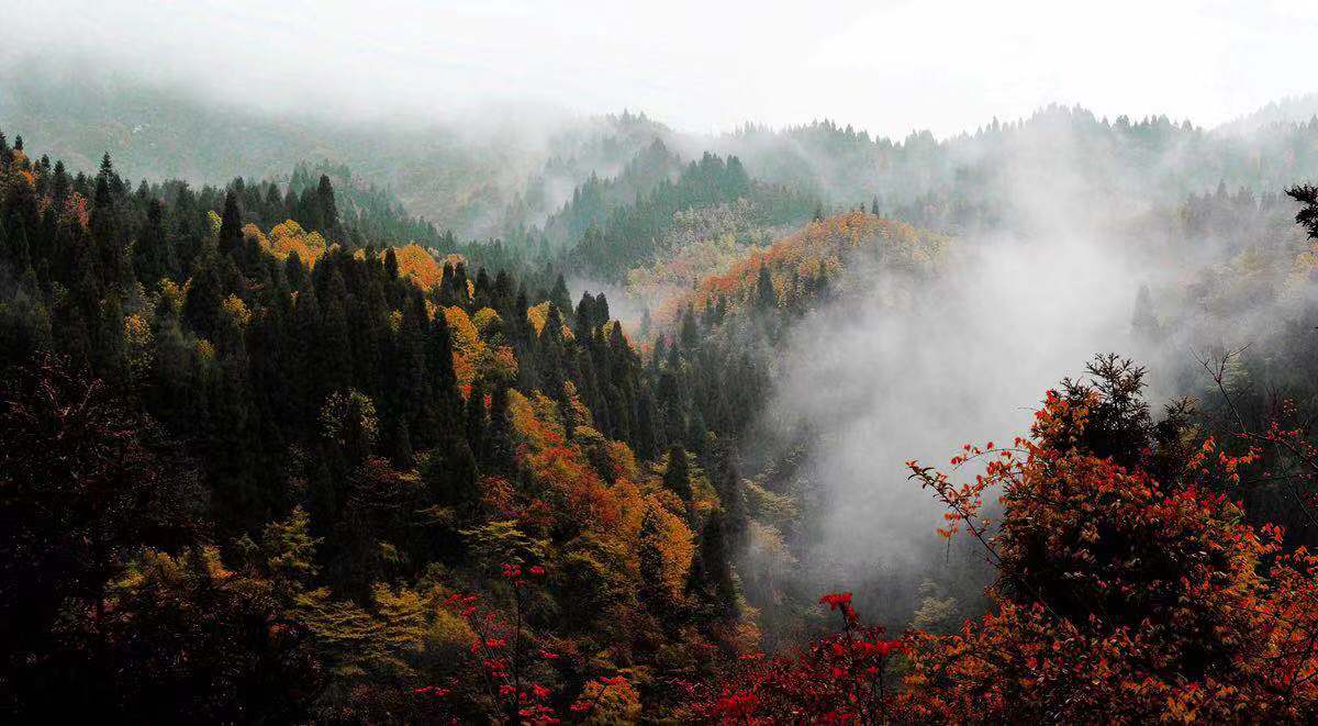 恩施坪坝营国家森林公园视频,咸丰坪坝营国家森林公园