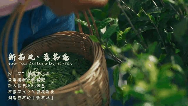 喜茶销量为什么那么高,喜茶真的值90亿吗