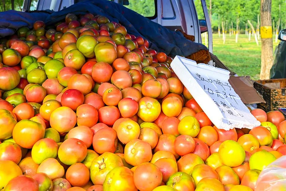 满满的烟火气逛大集真好玩,最值得逛的大集