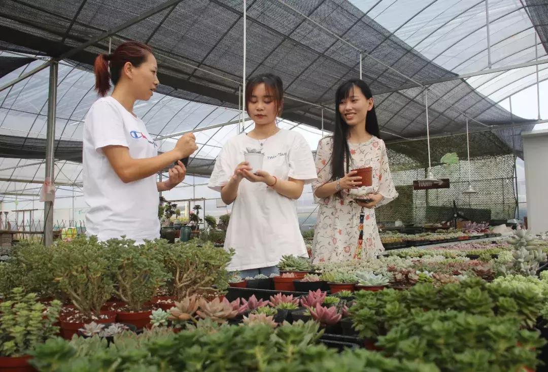 乡村振兴看陇南发展,乡村振兴看永安