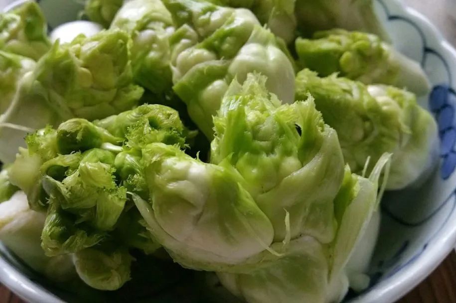 芥菜凭一己之力撑起了川人四季的蔬菜配额