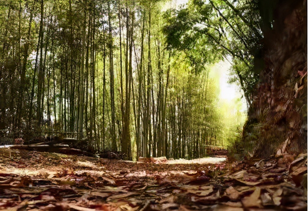 柯道士身世之谜浅析