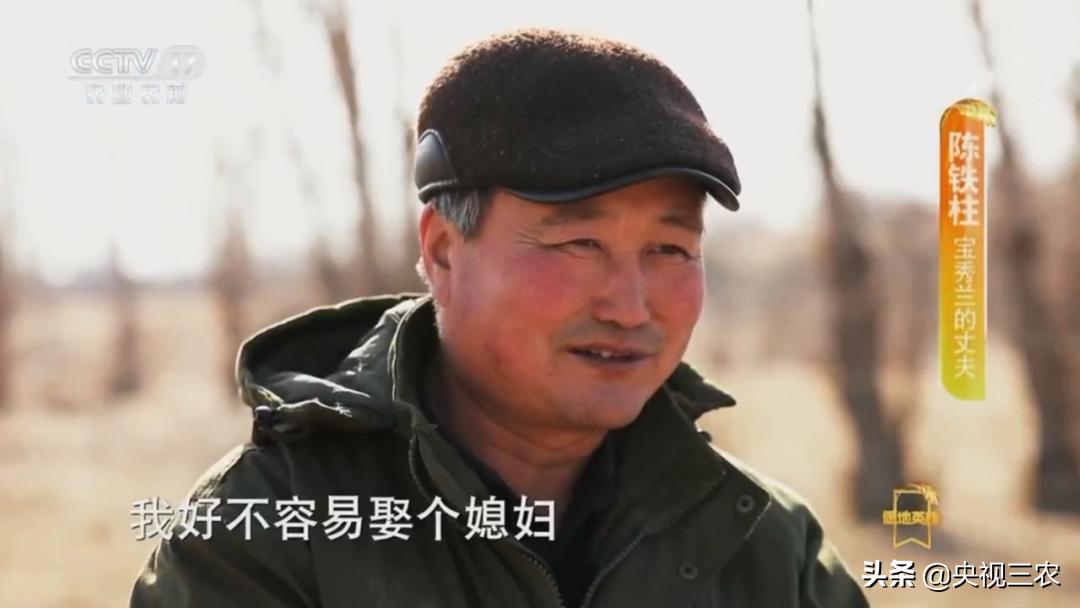 荒漠变绿洲不怕苦也不认命,荒漠变绿洲24年种下300万棵树