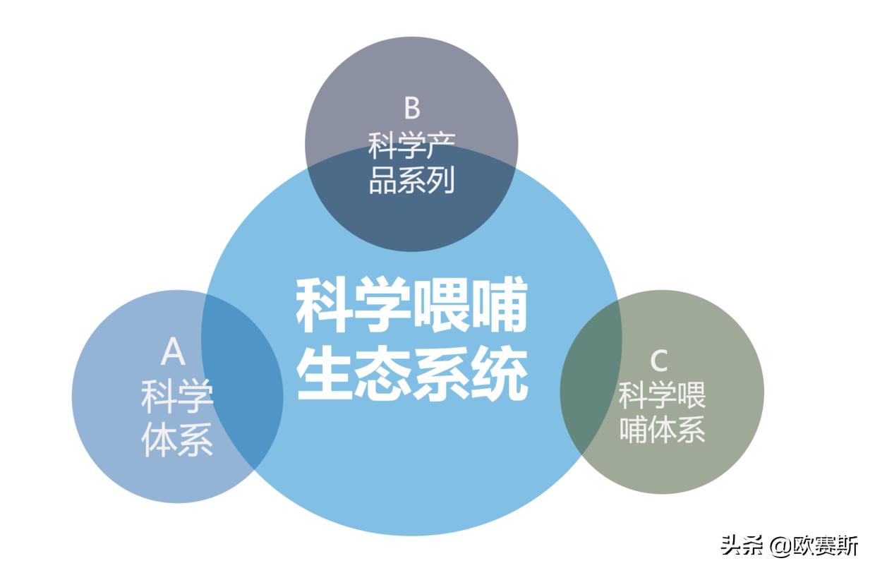 欧赛斯品牌全案案例分享,欧赛媤品牌全案定位