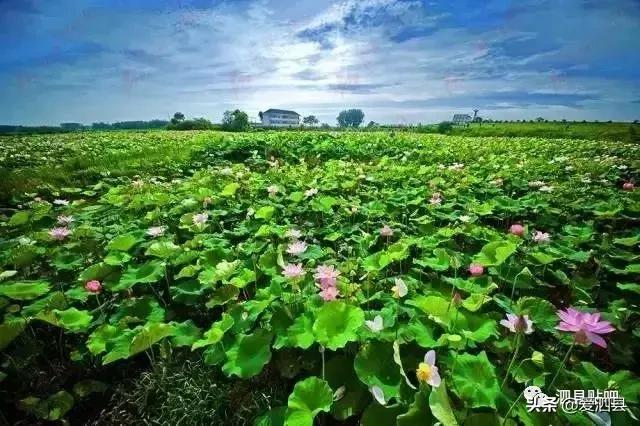 宿州泗县最穷的县,安徽泗县有什么发展