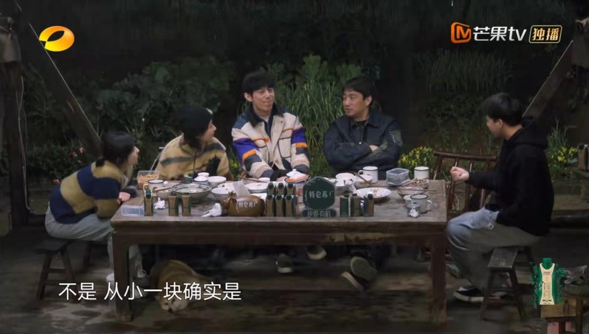 杨紫与张一山友情中的安全感,杨紫谈张一山再一次合作