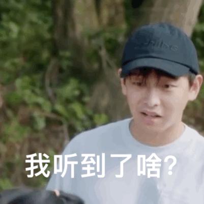 《向往5》搞事情,张艺兴意外遇见吴亦凡?彭昱畅秒变八卦脸