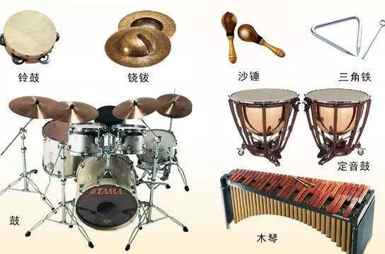 可以很简单就学会的乐器,哪些乐器很简单学