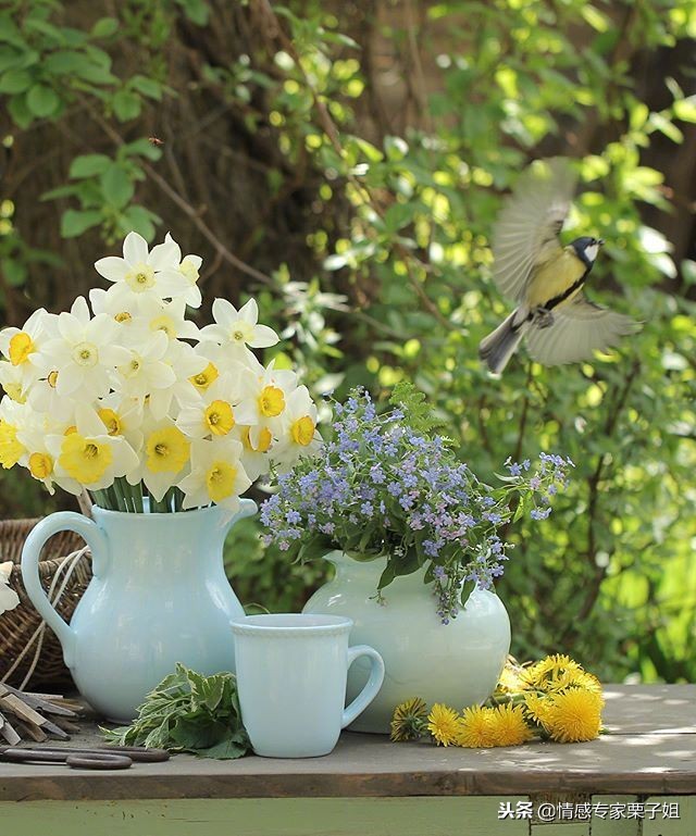 情感咨询｜栗子姐每日情感问答（1118）