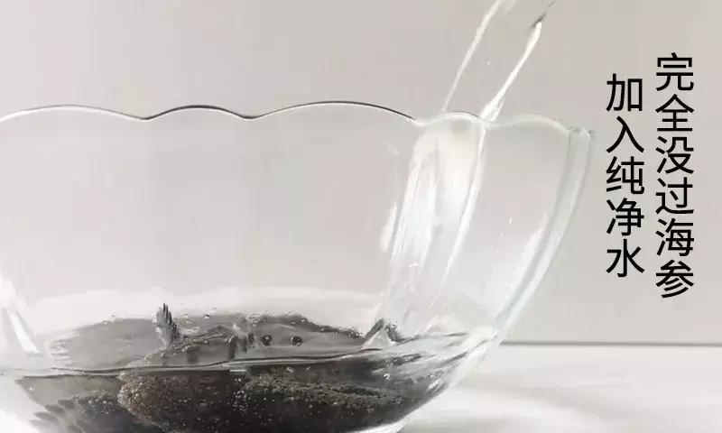 泡发海参为什么12小时换一次水,拉缸海参泡发正确流程的做法步骤