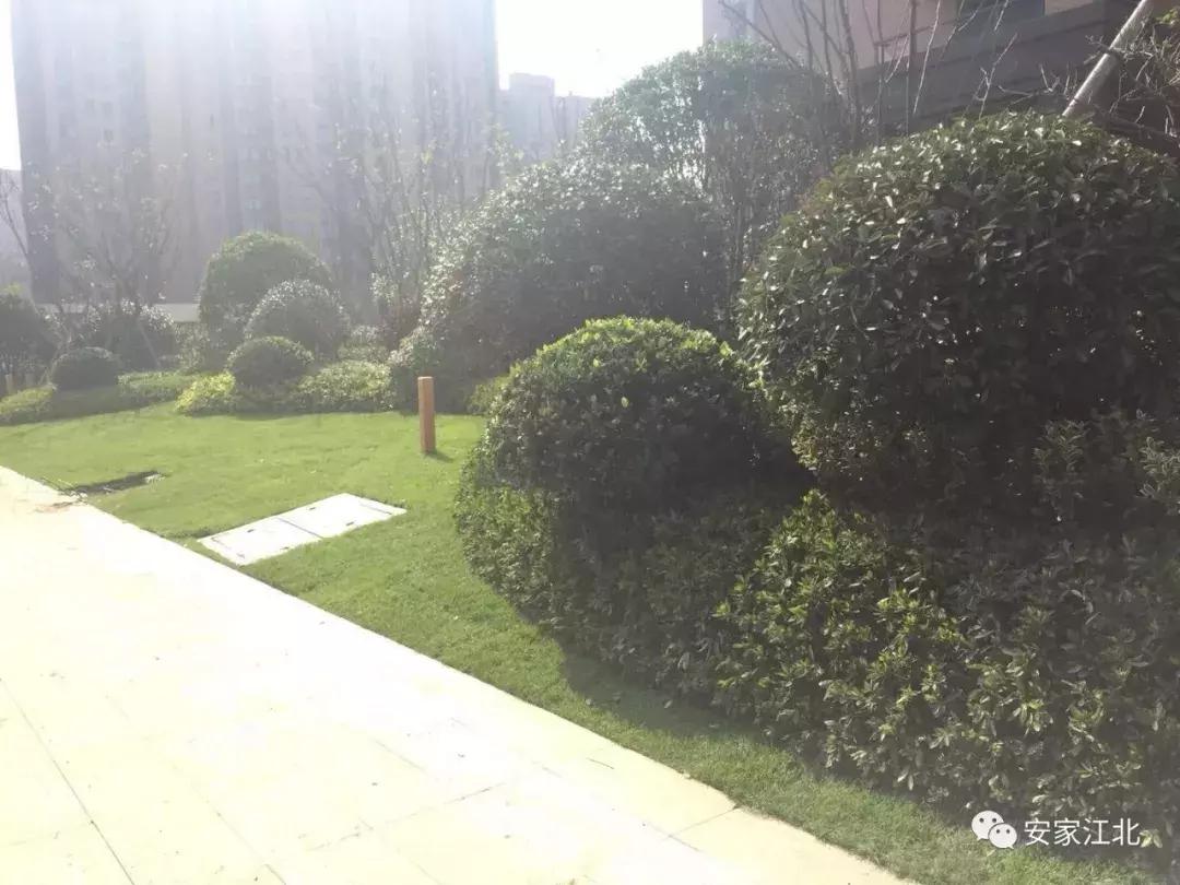 南京江北4号线新楼盘,南京地铁盘怎么样