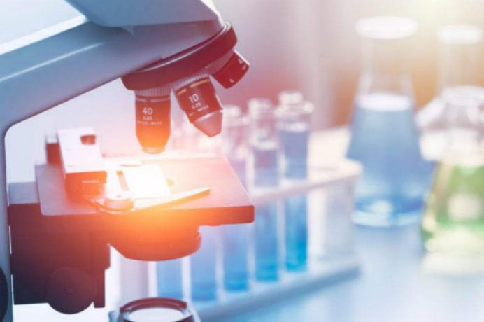 长风药业新药申请上市,长风药业最新信息