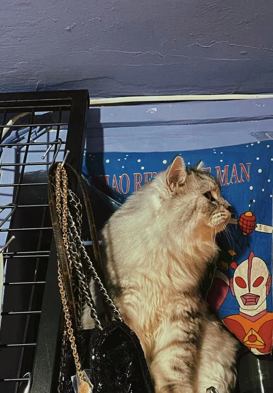 古着店的魅力,古着店的经典故事