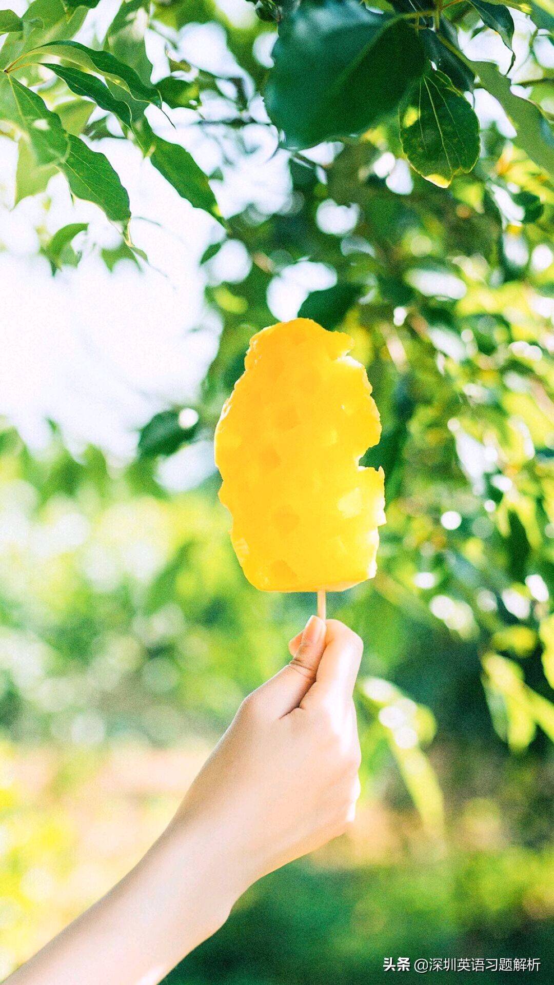 需要深入学习的英语词汇,在线学习相关的英语词汇