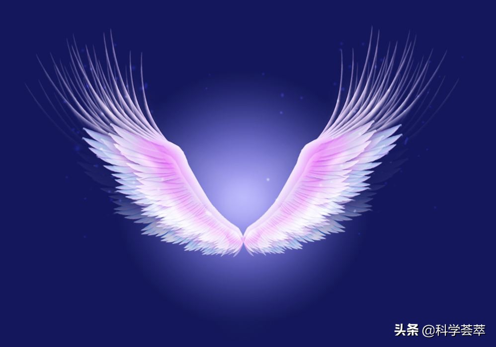 奥卡姆剃刀理论,奥康剃刀原理