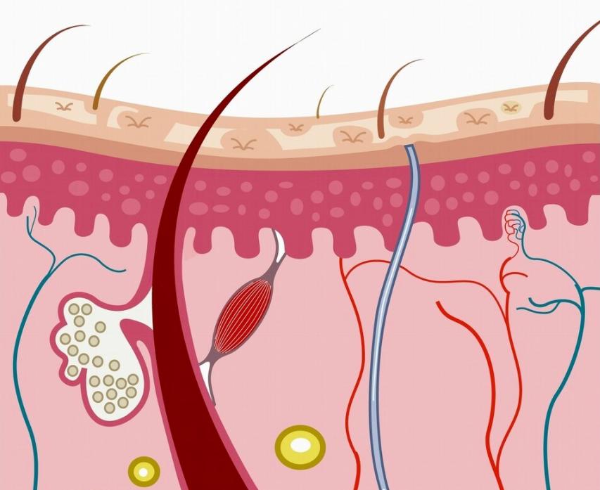 秋冬季国货平价护肤品,谈性价比