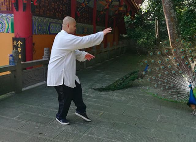 辟谷修仙害死人！而太极雷雷宣扬自创疫情防治术，也应当头棒喝