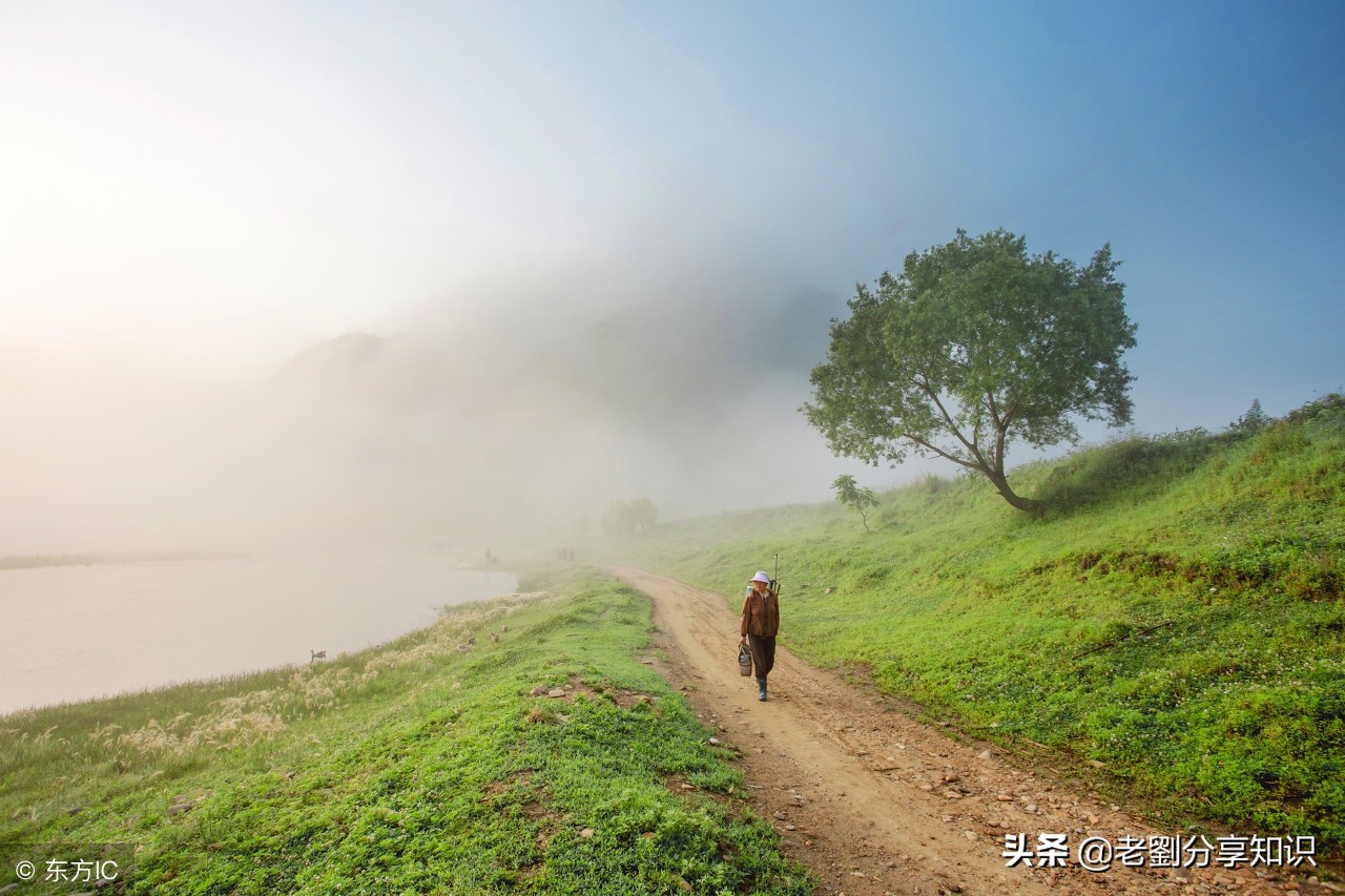 假期会学习：初中优秀作文赏析——《远方的呼唤》一题3篇