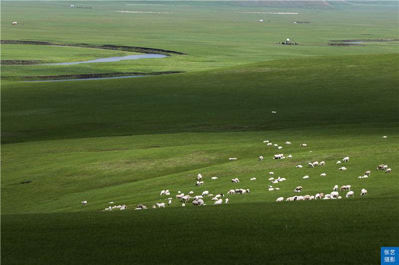 这个美如天堂的呼伦贝尔草原，是世界四大草原之一，盛赞北国碧玉