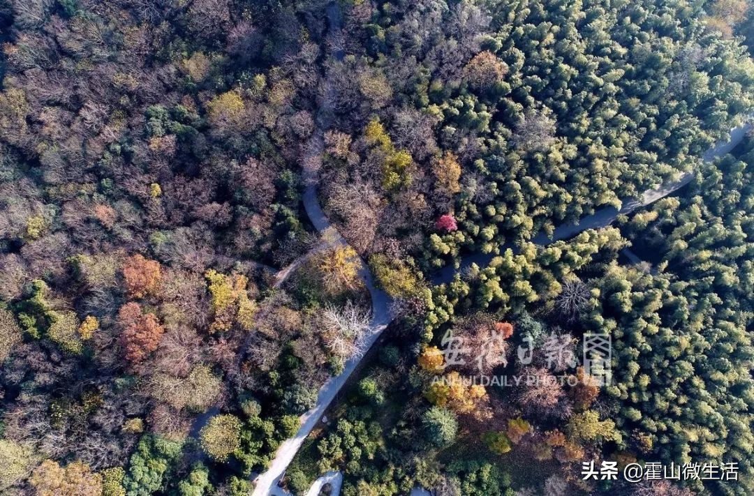 名单公示！霍山这些乡村被推荐为国家候选村...