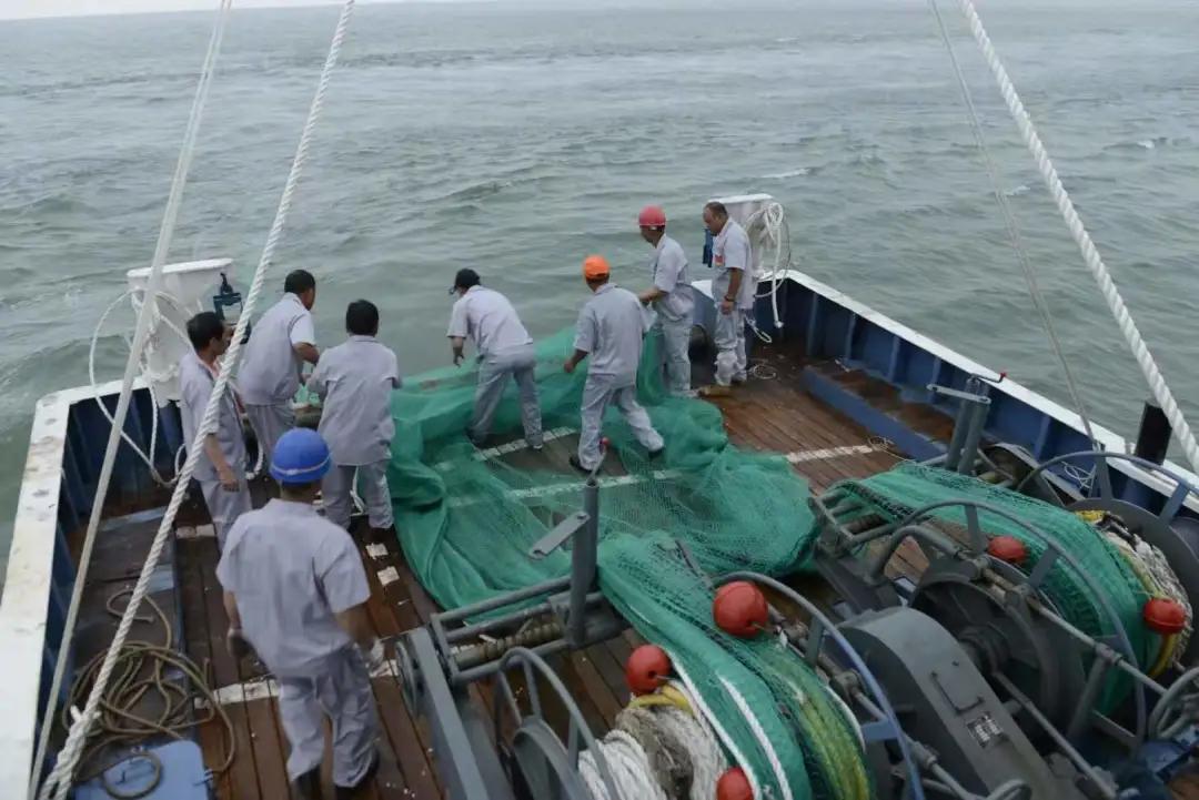 枸杞岛东方小希腊素材,被称东方小希腊风光无限的枸杞岛