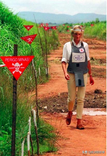 老婆孩子都不顾了？哈里难忘戴安娜王妃，执意重返非洲做慈善