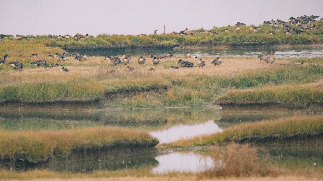 武汉必打卡排行榜,武汉十大打卡地