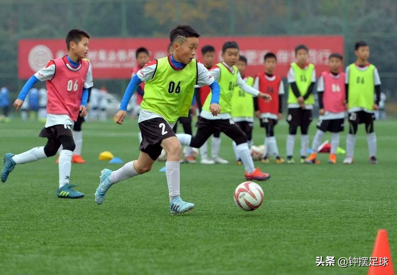 北大学者批评男足,北大学者炮轰国足