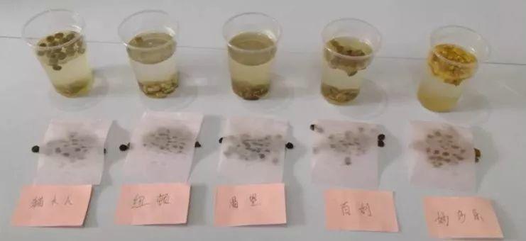 最宠品牌的全价猫粮测评,宠食界猫粮测评