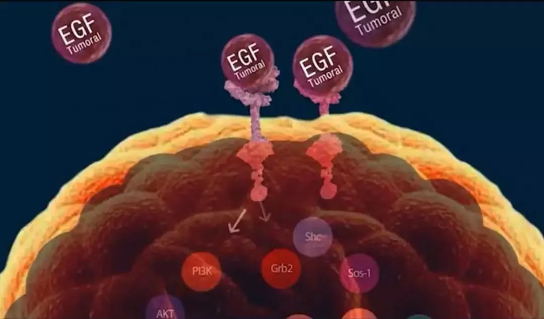 癌症疫苗或一针清除癌症,癌症疫苗可以摧毁所有癌症吗
