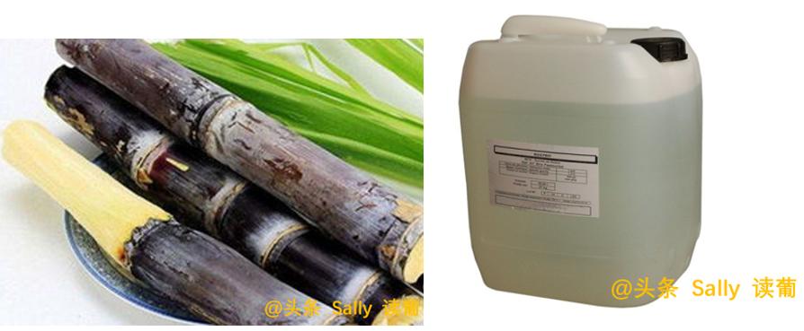 红酒在酒庄经历了什么?争议如此大?朱广权式幽默告诉你