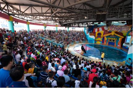 武汉海昌极地海洋公园旅游攻略,武汉海昌极地海洋公园最佳游览