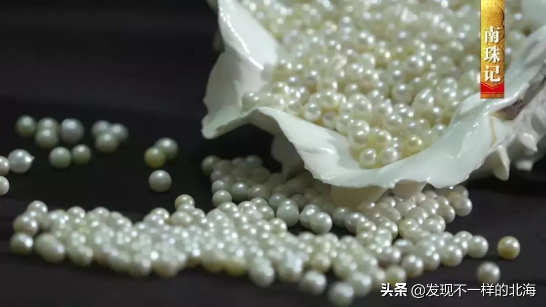 广西合浦是怎么样的?央视是这样全方位介绍这美丽的珠乡的