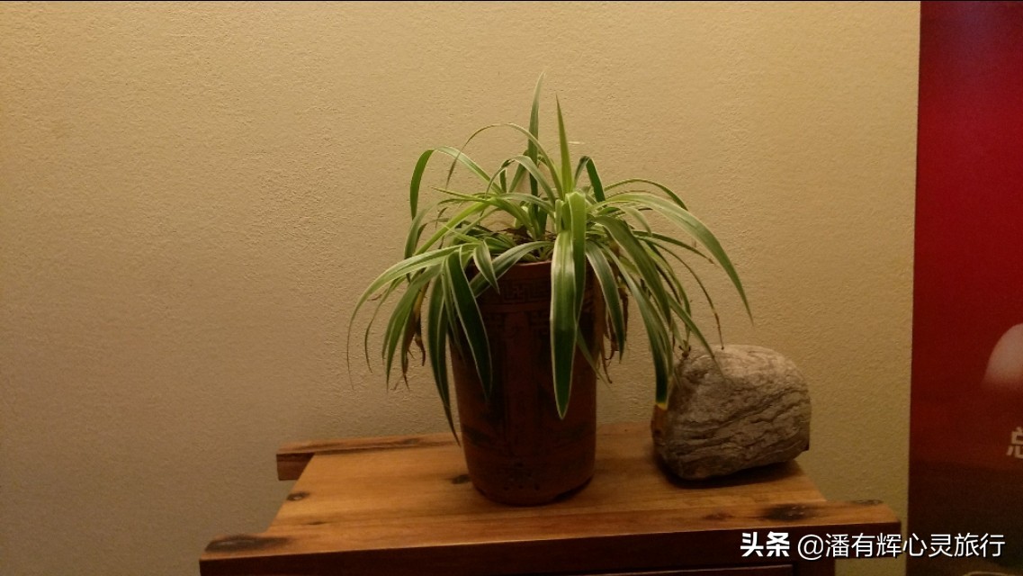 徒步第76天，做主播到现在有些粉丝不喜欢给我刷网上的礼物