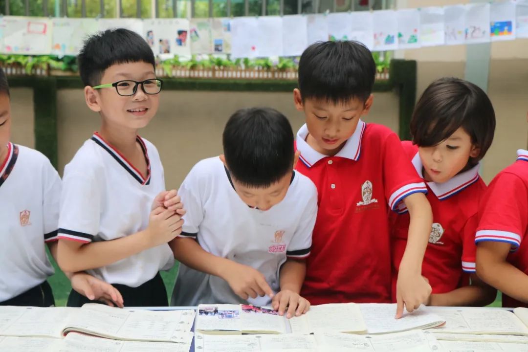 教育我们是认真的文字图片,《教育我们是认真的》完整版