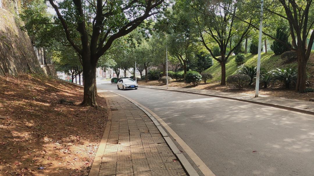 怎么判定车子积碳过多,怎么判断车子积碳严重