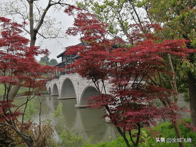 镇江适合生活的城市,镇江是一个好地方吗