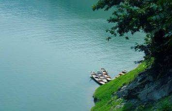 紫阳城记贾平凹阅读答案,紫阳城记贾平凹