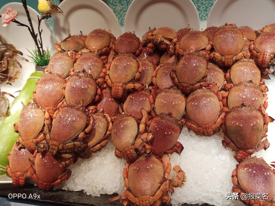 螃蟹虾扇贝,海鲜自助螃蟹和大扇贝