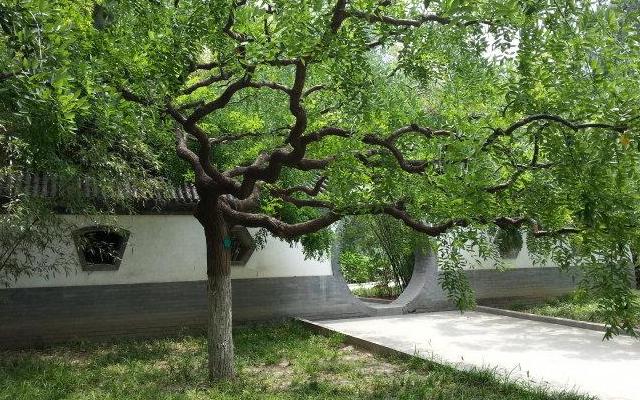 过故人庄孟浩然深度解析,过故人庄孟浩然经典语录