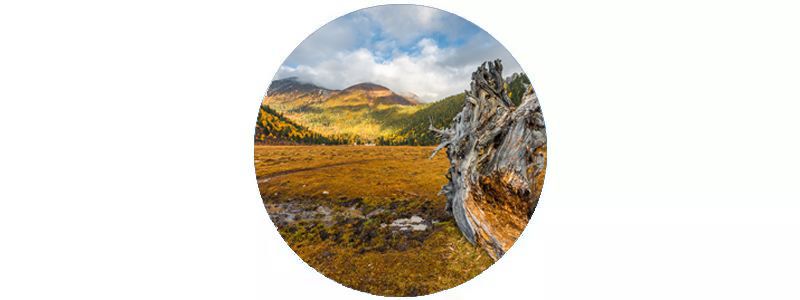 九寨沟什么最美,川西九寨沟最好的风景