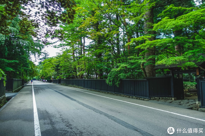 超级震撼的夏日风景,夏季日本旅游15天攻略