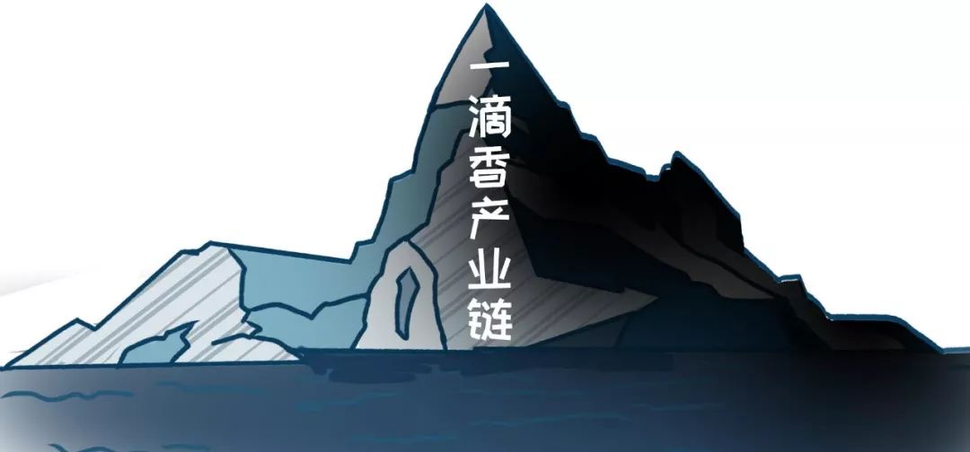 一滴香增香液,一滴香兑高汤