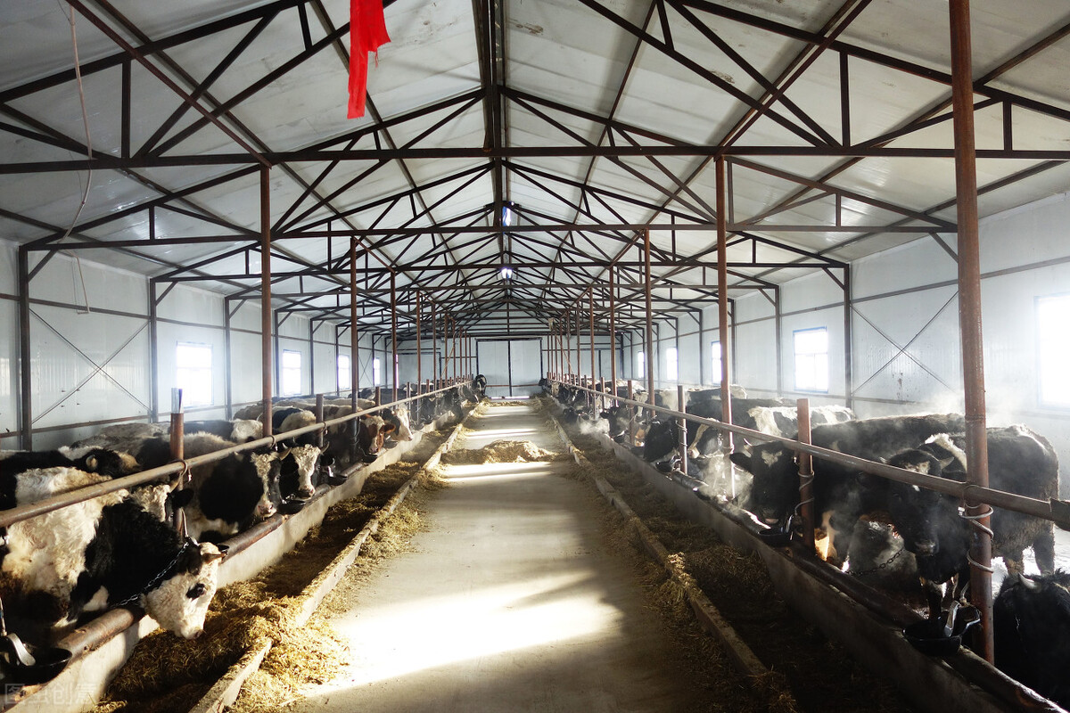 2023重点项目河北,2021河北重大项目名录