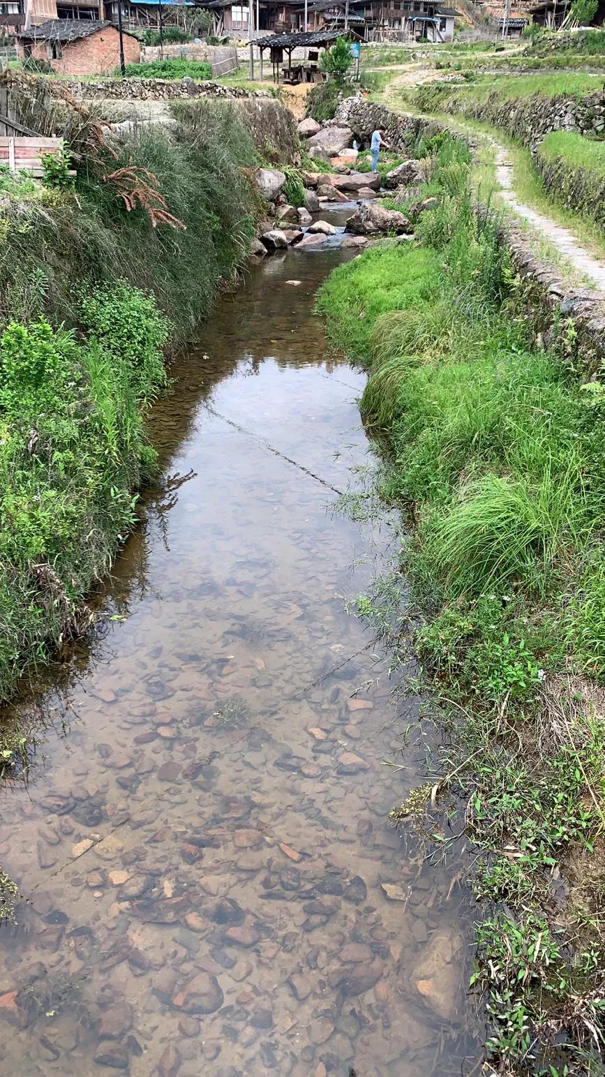 体验童年的乐趣抓泥鳅,抓野生泥鳅最简单的方法