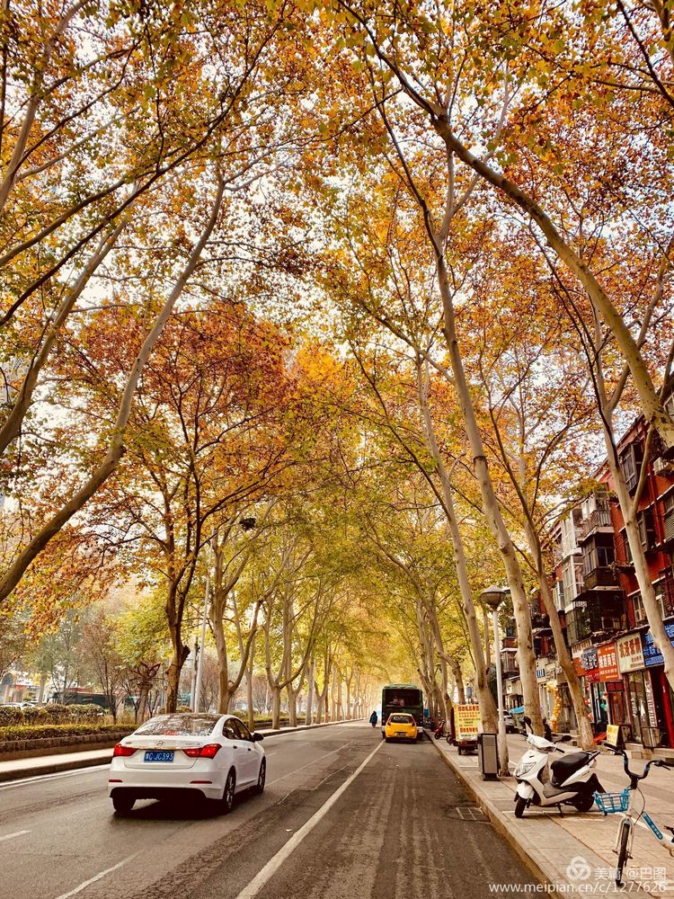 手机拍洛阳,涧西牡丹广场老照片