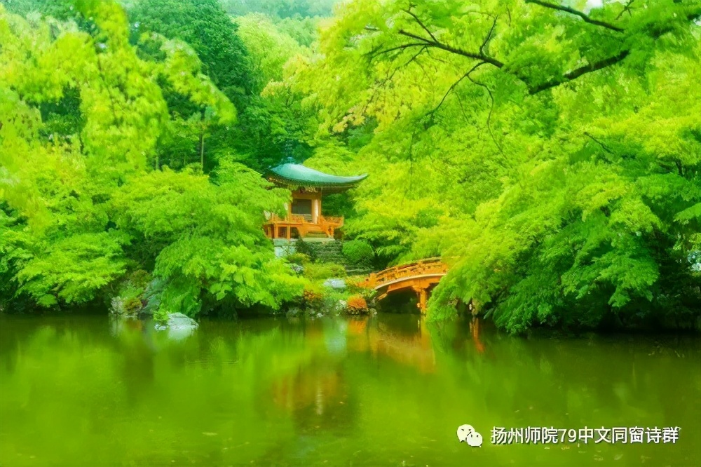 【老师去了,我每年来摩挲老师家的杨柳】