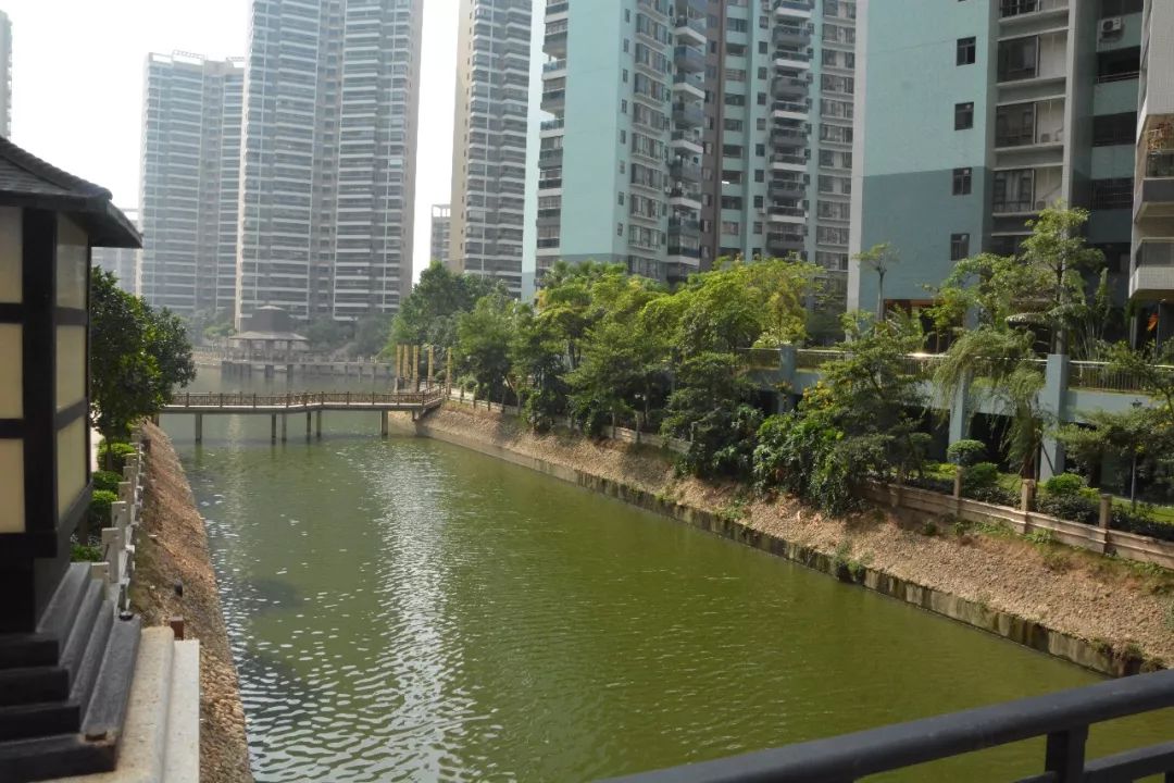 新河浦碧道公园,江门碧道公园